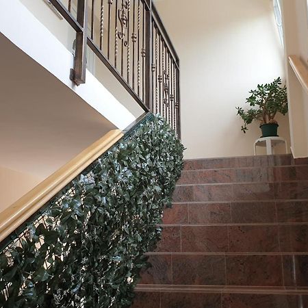 Back To Nature - Apartment Borodin Stranici kod Lovreca Εξωτερικό φωτογραφία