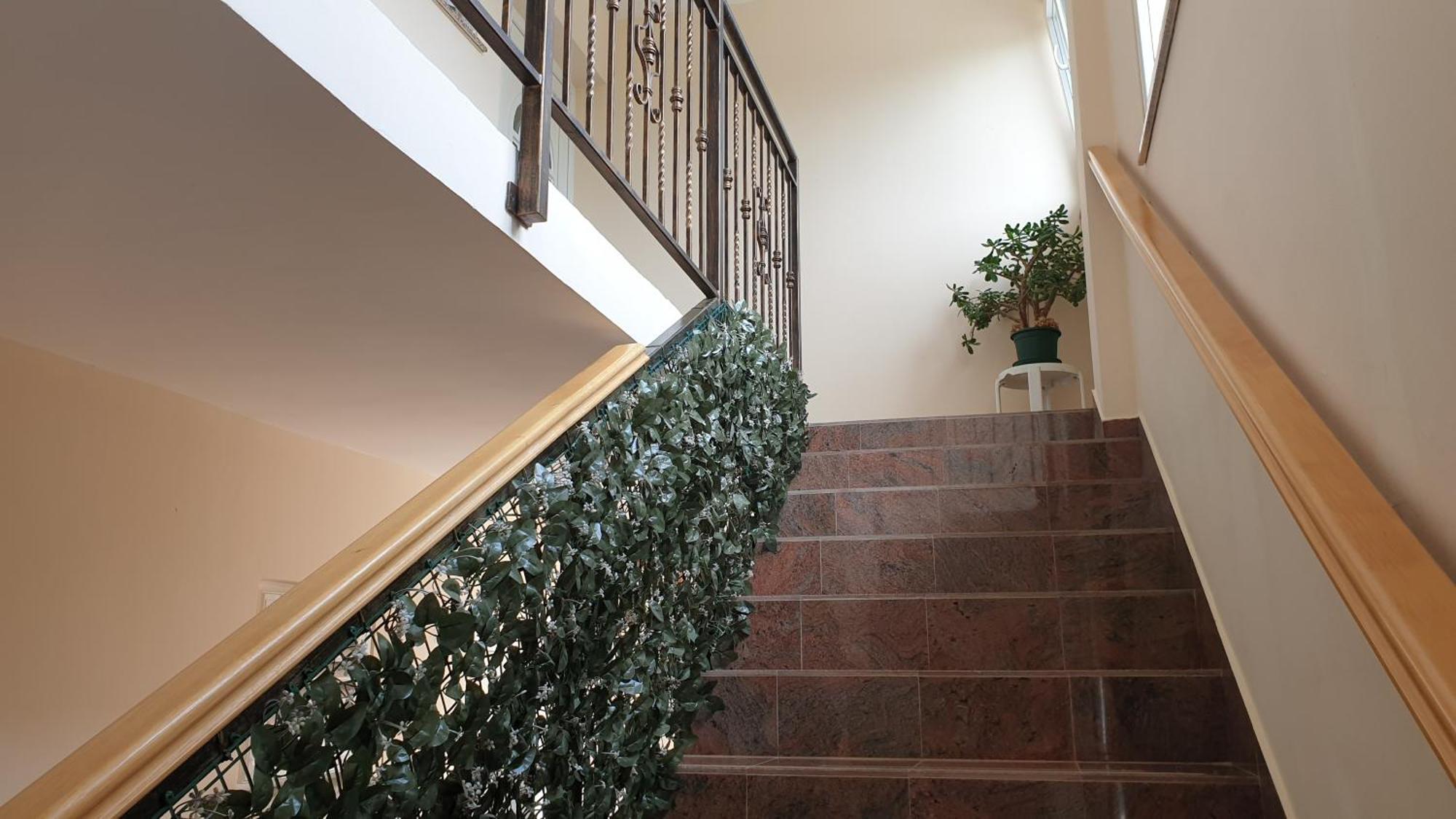 Back To Nature - Apartment Borodin Stranici kod Lovreca Εξωτερικό φωτογραφία